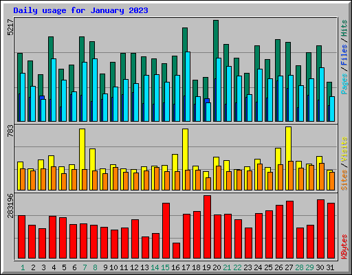 Daily usage for January 2023