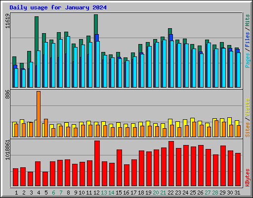 Daily usage for January 2024