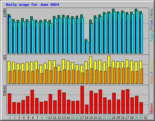 Daily usage for June 2024