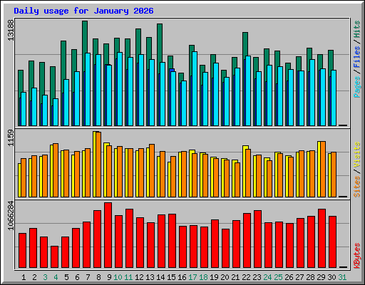 Daily usage for January 2026