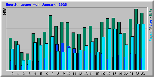 Hourly usage for January 2023