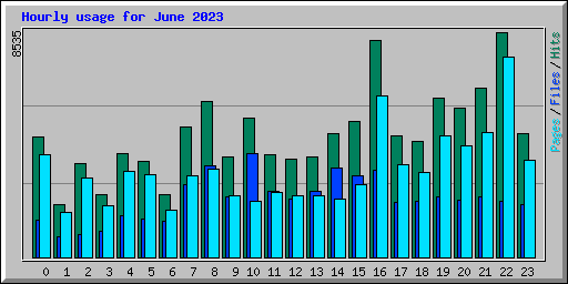 Hourly usage for June 2023