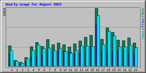 Hourly usage for August 2023