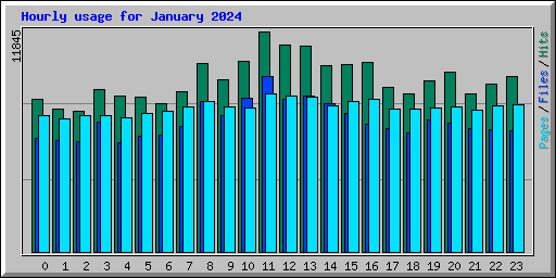 Hourly usage for January 2024