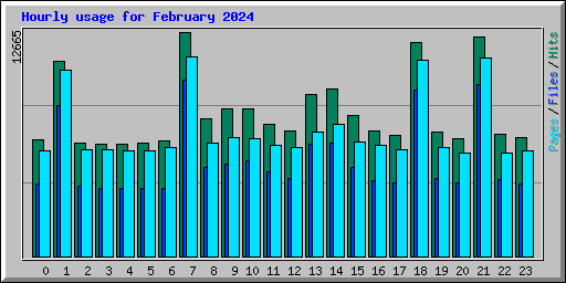 Hourly usage for February 2024