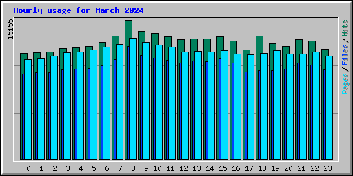 Hourly usage for March 2024