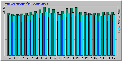 Hourly usage for June 2024