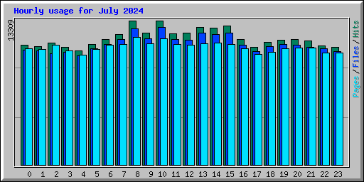 Hourly usage for July 2024