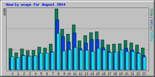 Hourly usage for August 2024