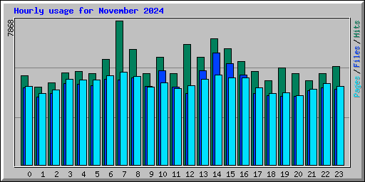 Hourly usage for November 2024