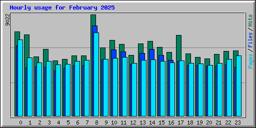 Hourly usage for February 2025