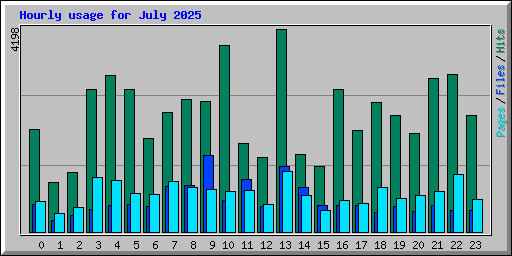 Hourly usage for July 2025