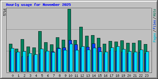 Hourly usage for November 2025