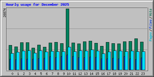 Hourly usage for December 2025