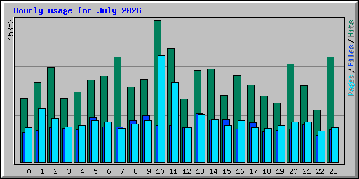 Hourly usage for July 2026